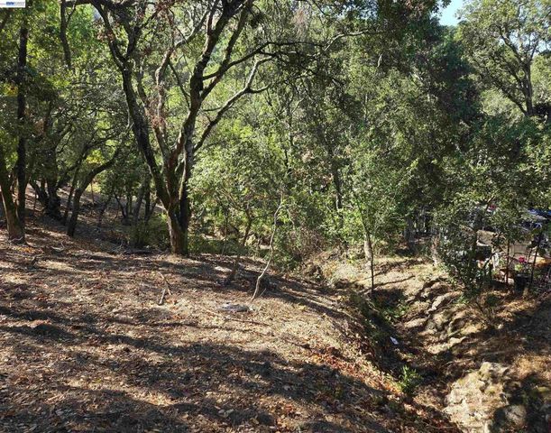 12 Vista Del Orinda, Orinda, CA 94563