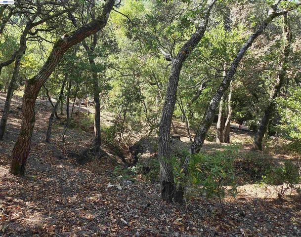 12 Vista Del Orinda, Orinda, CA 94563