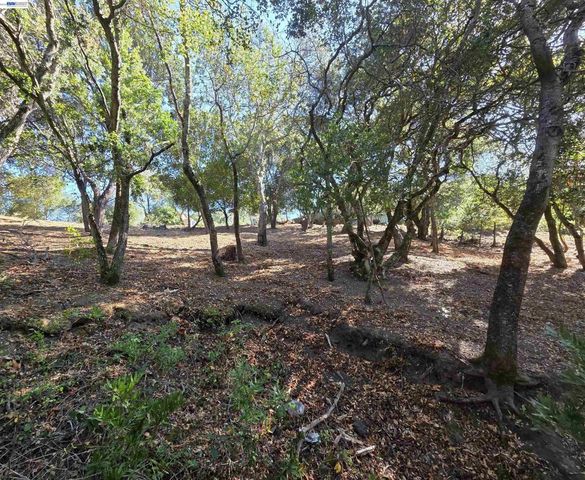 12 Vista Del Orinda, Orinda, CA 94563