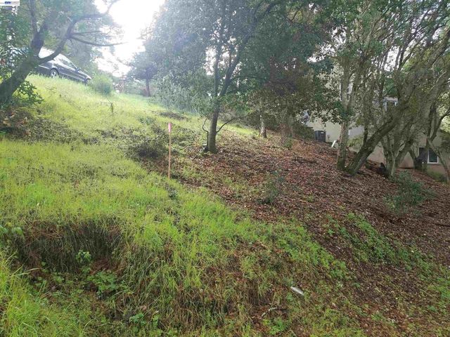12 Vista Del Orinda, Orinda, CA 94563