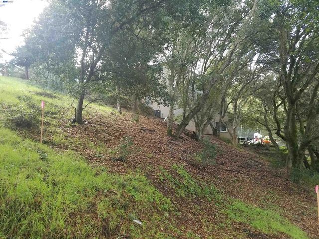12 Vista Del Orinda, Orinda, CA 94563