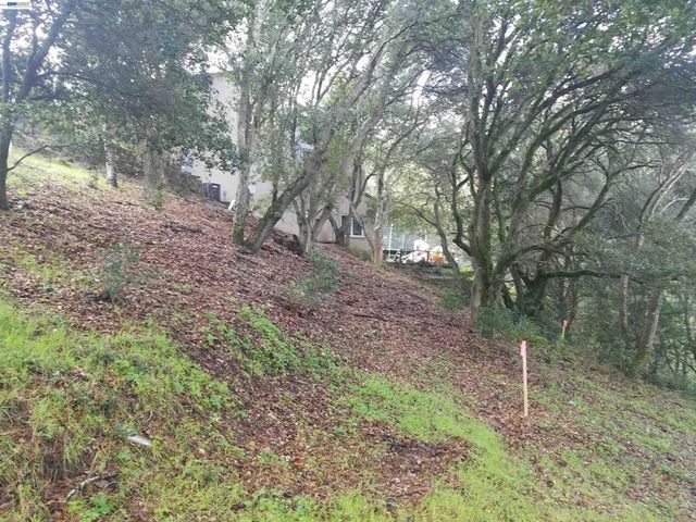 12 Vista Del Orinda, Orinda, CA 94563