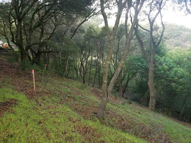 12 Vista Del Orinda, Orinda, CA 94563