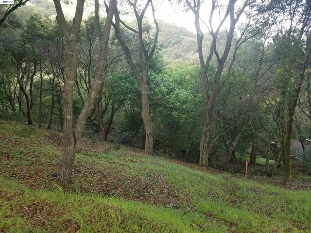 12 Vista Del Orinda, Orinda, CA 94563