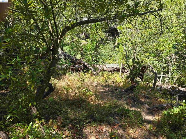 12 Vista Del Orinda, Orinda, CA 94563