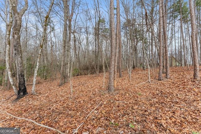 206 Shoals Way, Clarkesville, GA 30523