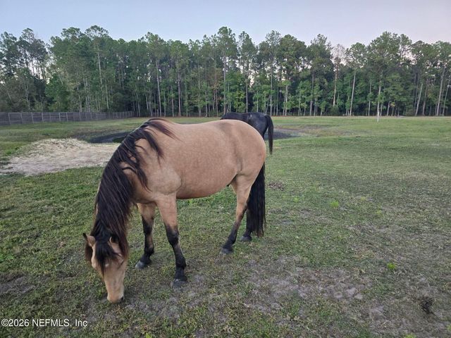 906 COUNTY ROAD 217, Jacksonville, FL 32234