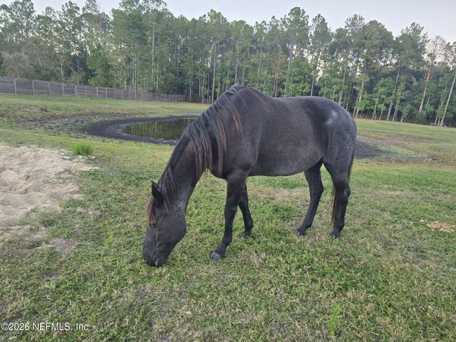 906 COUNTY ROAD 217, Jacksonville, FL 32234