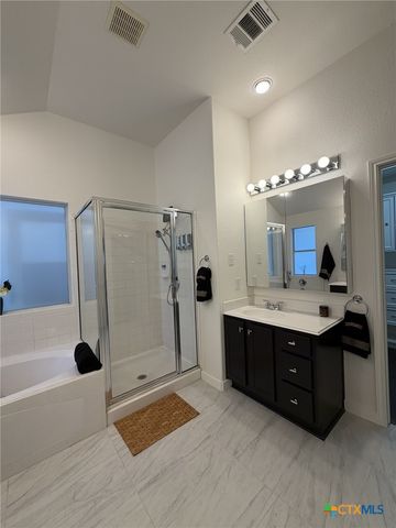 2310 Zoa Drive, Cedar Park, TX 78613