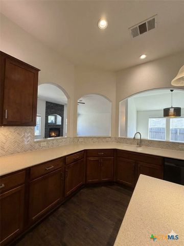 2310 Zoa Drive, Cedar Park, TX 78613