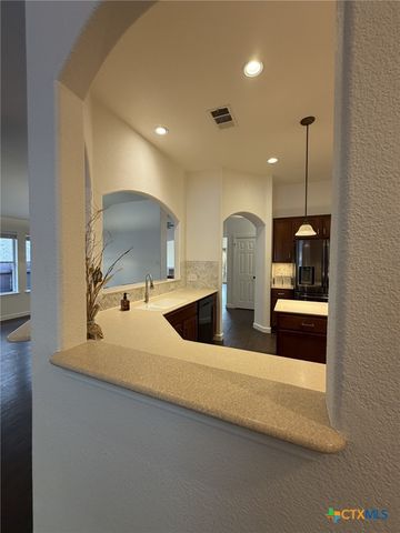 2310 Zoa Drive, Cedar Park, TX 78613