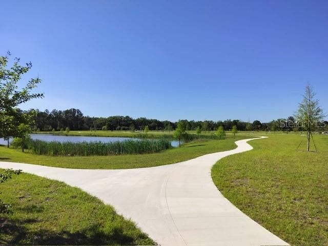 1358 KINGS CROWN STREET, Mount Dora, FL 32757