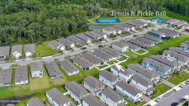 349 Caryota Court, New Smyrna Beach, FL 32168