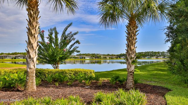 349 Caryota Court, New Smyrna Beach, FL 32168