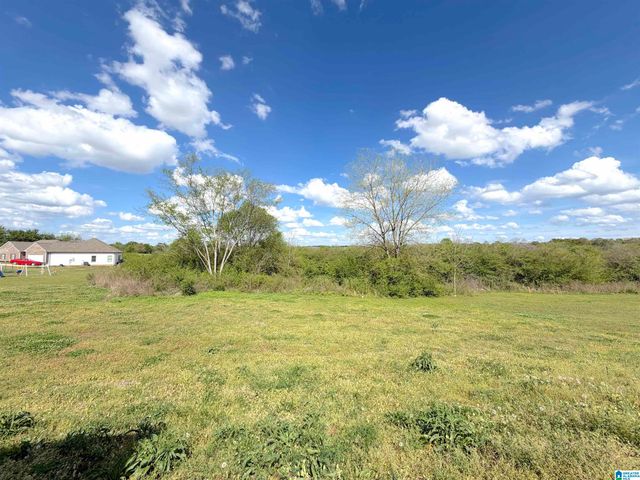 88 KESWICK DRIVE, Eastaboga, AL 36260