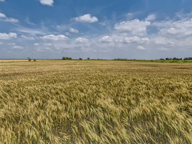 501 County Road 405, Taylor, TX 76574