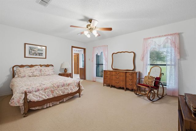 17804 CR 4235, Frankston, TX 75763