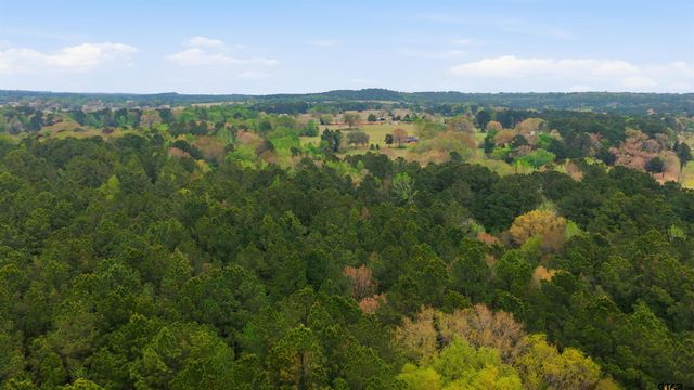 17804 CR 4235, Frankston, TX 75763