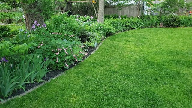 613 Sheldon Street Street, Madison, WI 53711