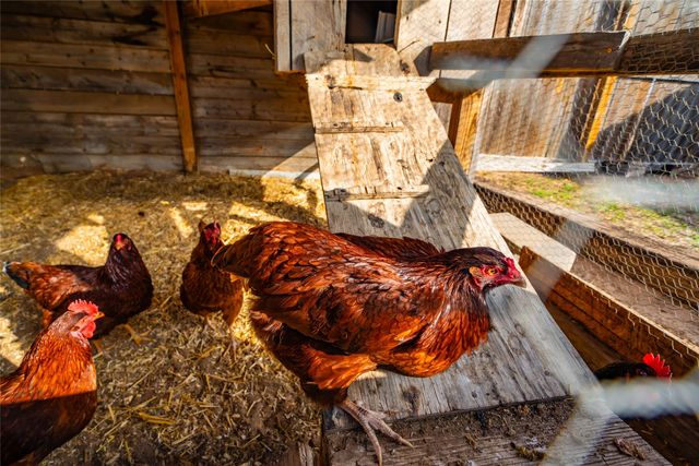 102 Fm 1750, Abilene, TX 79602