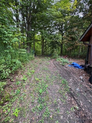 1466 Erie Street, Darien, NY 14040