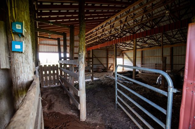 501 Burnt Hill Rd, Unionville, TN 37180