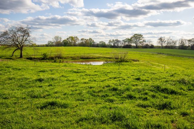 501 Burnt Hill Rd, Unionville, TN 37180