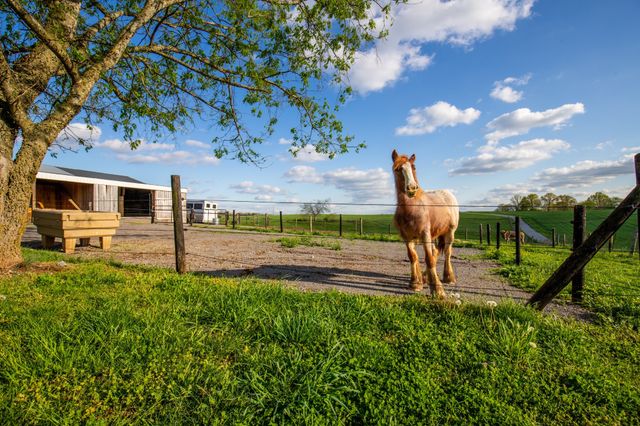 501 Burnt Hill Rd, Unionville, TN 37180