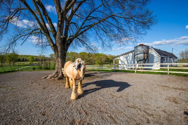 501 Burnt Hill Rd, Unionville, TN 37180