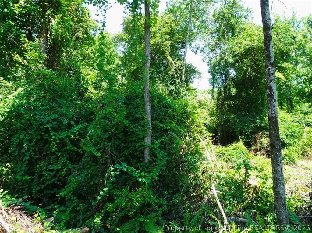 000 Ridgefield Road, Eastover, NC 28312 — photo 2