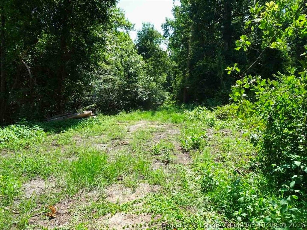 000 Ridgefield Road, Eastover, NC 28312 — photo 3