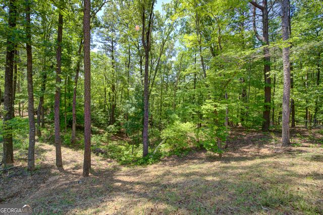2182 Ben Higgins Road, Dahlonega, GA 30533