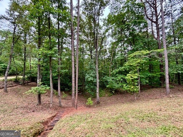 2182 Ben Higgins Road, Dahlonega, GA 30533