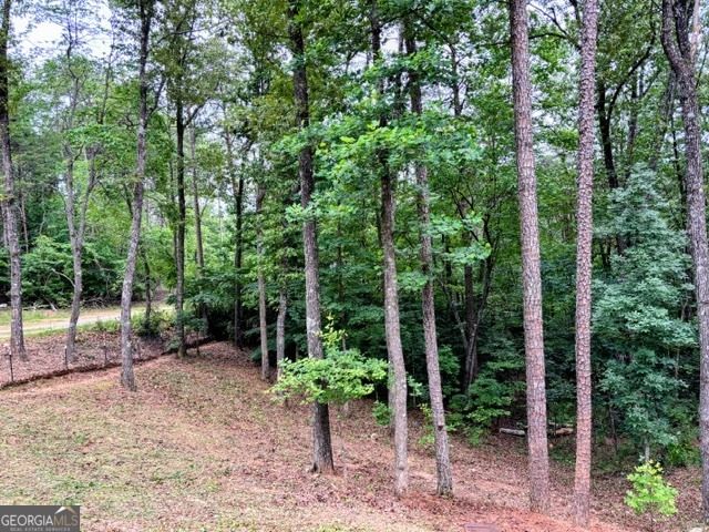 2182 Ben Higgins Road, Dahlonega, GA 30533