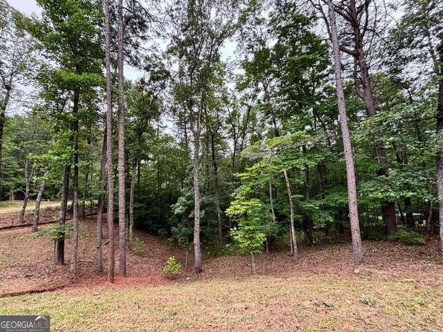2182 Ben Higgins Road, Dahlonega, GA 30533
