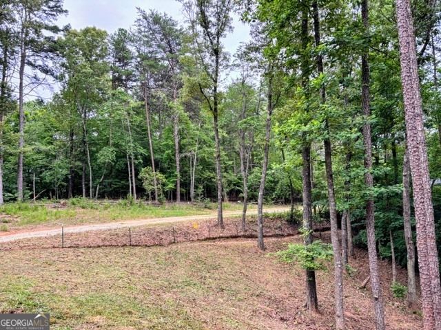 2182 Ben Higgins Road, Dahlonega, GA 30533