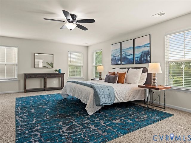 16866 White Daisy Loop, Moseley, VA 23120