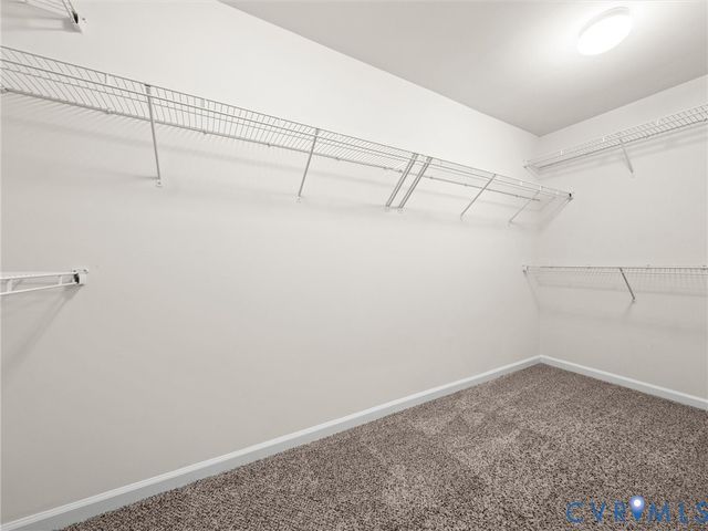 16866 White Daisy Loop, Moseley, VA 23120