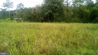 0 Pickwicke Road Lot 51, Lewes, DE 19966