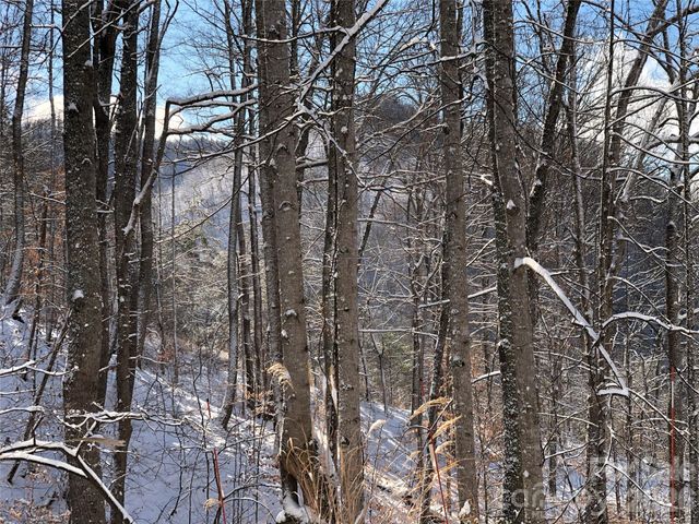 55 Sugar Hill Drive, Weaverville, NC 28787