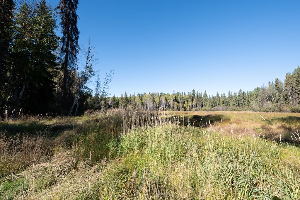 675 Beaver Lake Road, Whitefish, MT 59937 photo 5