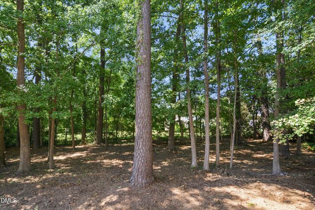 2334 School Creek Place, Raleigh, NC 27606