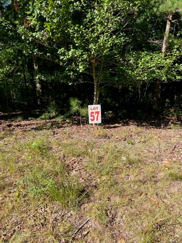 LT 57 Honeysuckle Way, Ellijay, GA 30540
