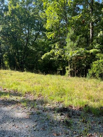 LT 57 Honeysuckle Way, Ellijay, GA 30540