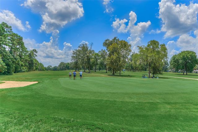 13707 Fountainview Drive, Montgomery, TX 77356
