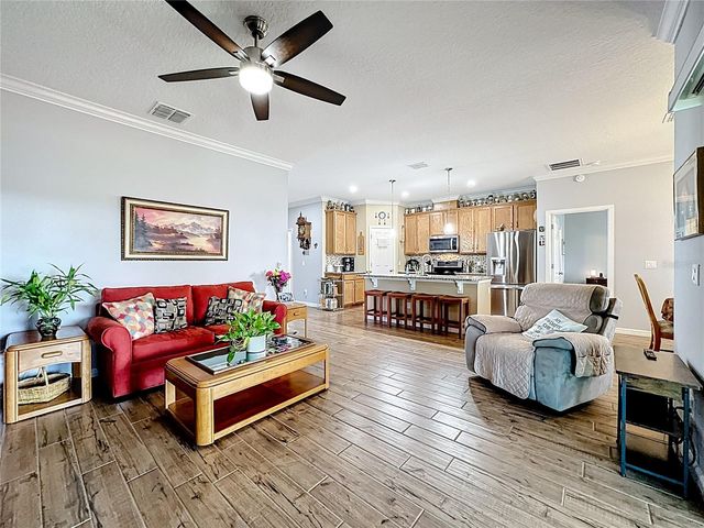 13000 YALE BLUFF DRIVE, Grand Island, FL 32735