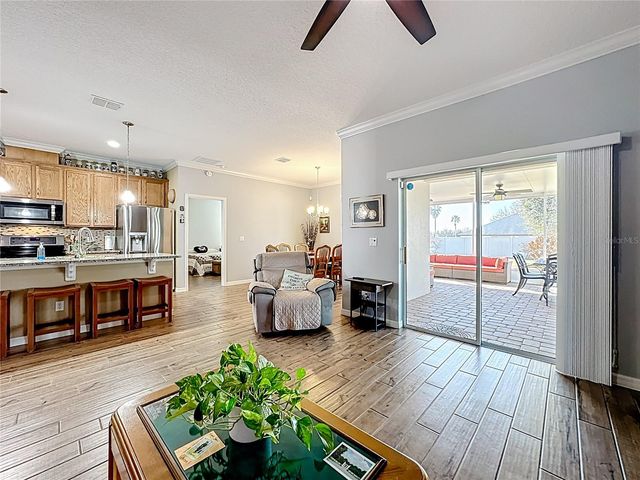 13000 YALE BLUFF DRIVE, Grand Island, FL 32735