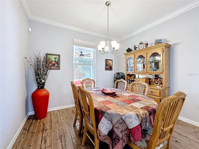 13000 YALE BLUFF DRIVE, Grand Island, FL 32735