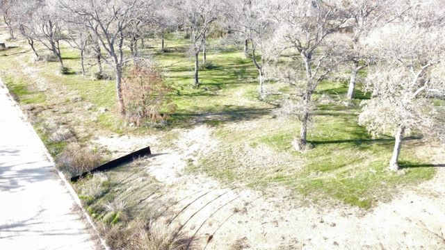 322 Arbor Cove Lane, Oak Point, TX 75068