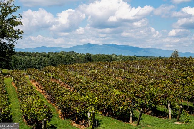 1722 High Summit Drive, Talking Rock, GA 30175